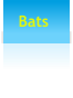 Bats